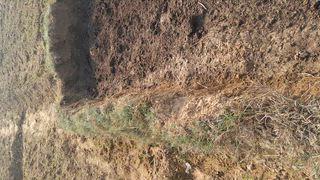 आप सभी सम्मानित क्षेत्र वासियों से अपील है कि उन्होंने बहुत ही गलत  किया है मिट्टी उठाई मेरी मैड  को काटा फिर कंप्यूटर चलवाई तब भी मेरी मैड को काटा विरोध किया क्यों मैड काट रहे हो गाली गलौज बदतमीजी मारपीट पर उतारू हो गई