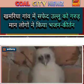 खमरिया गांव में सफेद उल्लू को गरुड़ मान लोगों ने किया भजन-कीर्तन
@coalcitynewz #coalcitynewz  #वायरल #ViralNews #Trending #BreakingNews #SocialMedia #ViralVideo #ViralPost #TodayTrending #IndiaViral #NewsUpdate