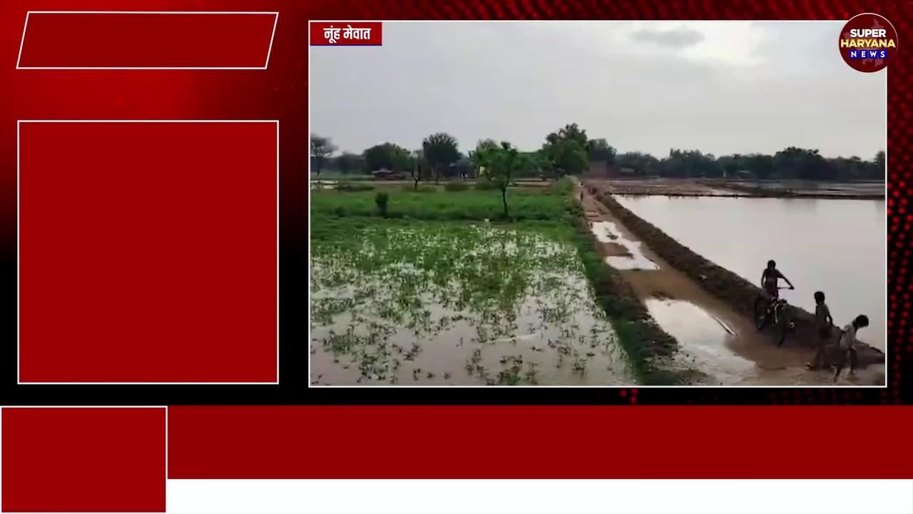 Nuh News: आसमान से बारिश के रूप में बरसा सोना, किसानों में खुशी का महौल || Super Haryana News ||
.
Instagram - https://www.instagram.com/superharyananews
Youtube: https://www.youtube.com/SuperHaryanaNews/videos
.
.
.