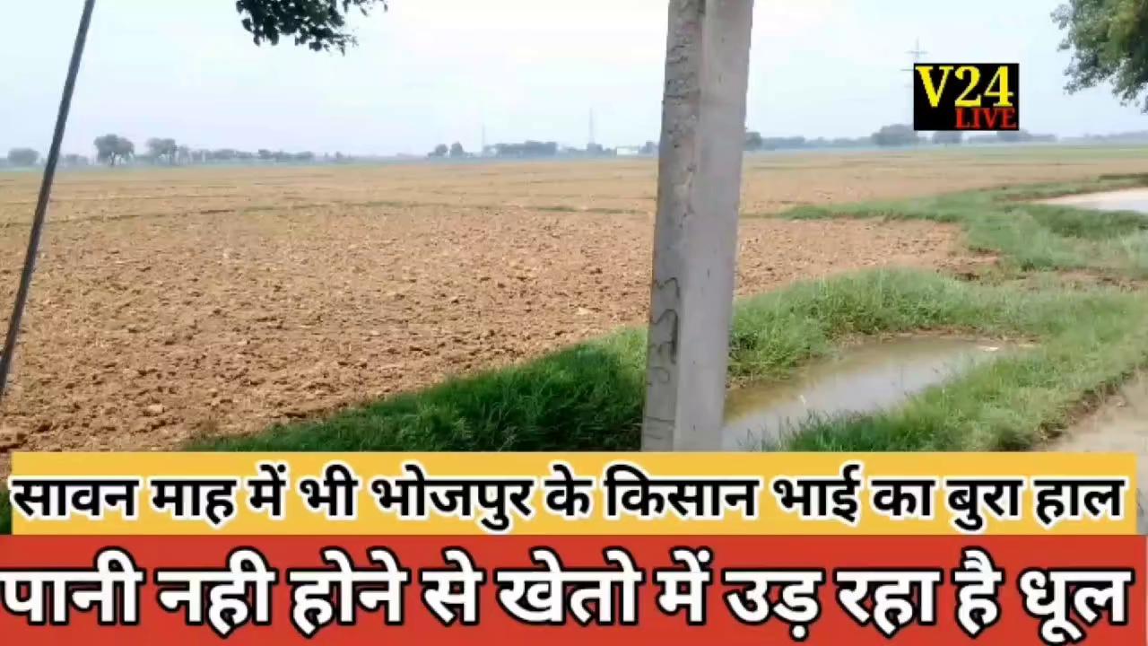 सावन माह में भोजपुर के किसानों का बुरा हाल।। खेतो में उड़ रहा है धूल।।
#शाहाबाद #बिहार #news #धान रोपनी #किसान
Bibhor Tiwari