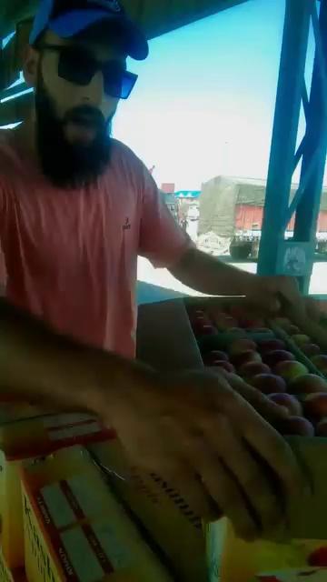 Sopore Apple Mandi Today Rate 250 To 300