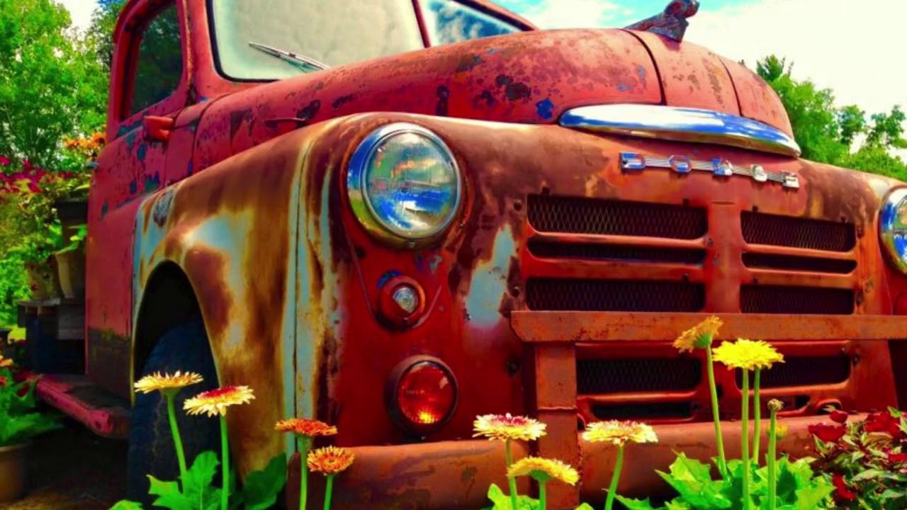 Take a look at this antique 1950 Dodge truck that we planted up with flowers galore in our front yard.