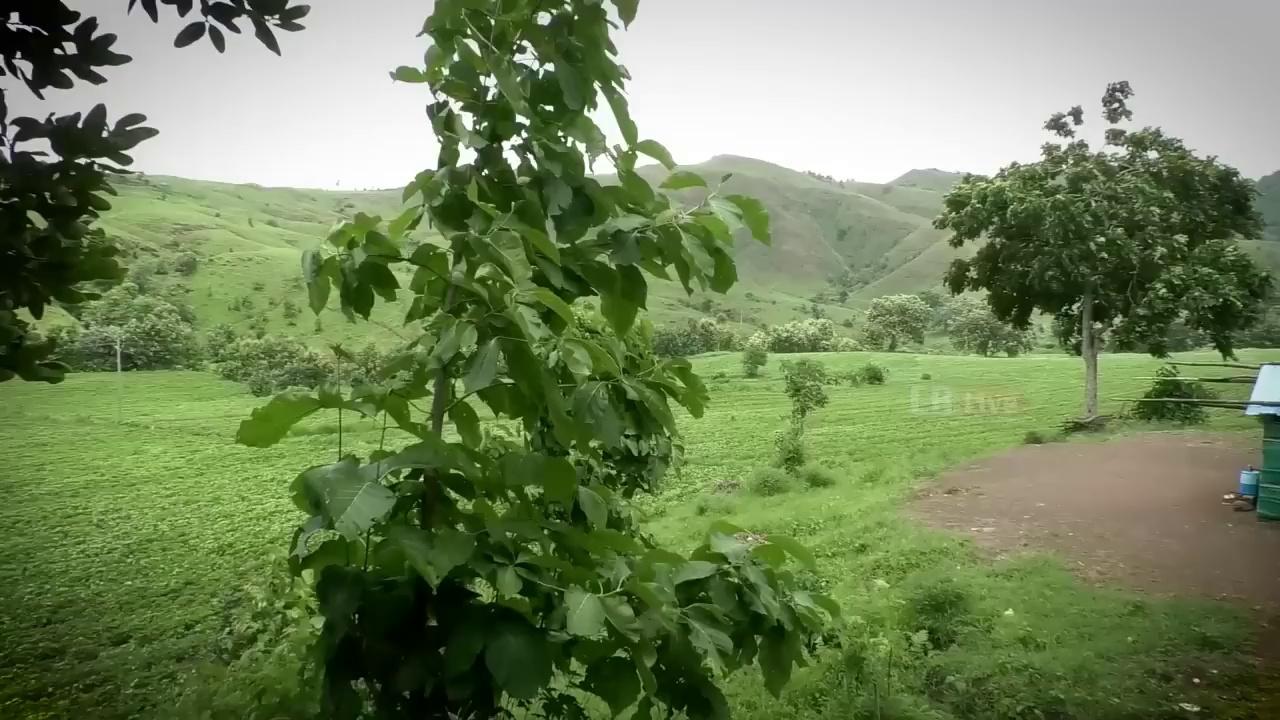 आजादी के अम्रतकाल में इस झोंपड़ी में पढ़ने को क्यों मजबूर हैं आदिवासी बच्चे !!