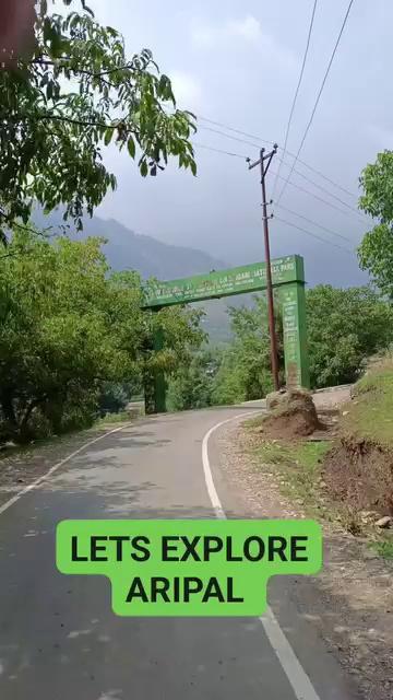 Pronigam village, located in the Aripal Tral subdistrict, is renowned for its stunning natural beauty, cleanliness, and purity. As the last village in Aripal Tral, it offers a serene and picturesque environment. The village thrives on agriculture, with maize and pulses like Rajma being the main crops.