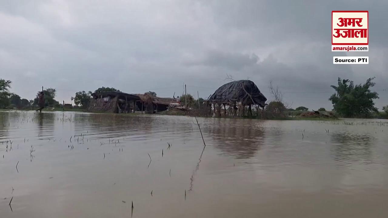 Gonda: घाघरा नदी के उफान से जलमग्न हुए घर-खेत, देखिए Video | Weather | Amar Ujala Uttar Pradesh