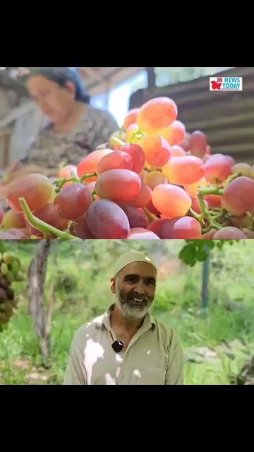 "The Grapes village of Kashmir"Repora lar Ganderbal