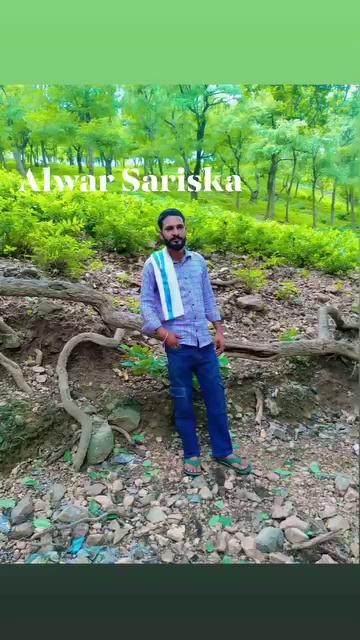 Alwar Sariska bharthri pandupol sanwan nature