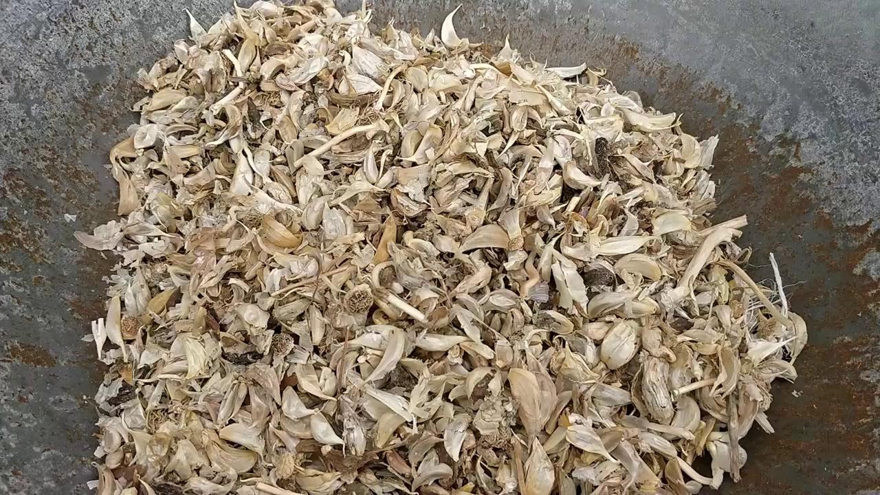 Garlic | Pocha Quality | Lehsun | Lassan
Sinhal Herbs, Neemuch
Traders & Stockiest of Herbs & Spices
23, Industrial Area
Neemuch - 458441
Madhya Pradesh