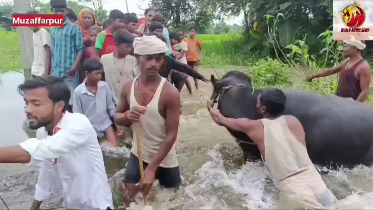 मुजफ्फरपुर के औराई प्रखंड के महेश्वरा पंचायत के धर्मपुर गांव में बाढ़ से हुआ बहुत लोगों को हुआ भारी
#viralvideoシ #new #badminton #training #