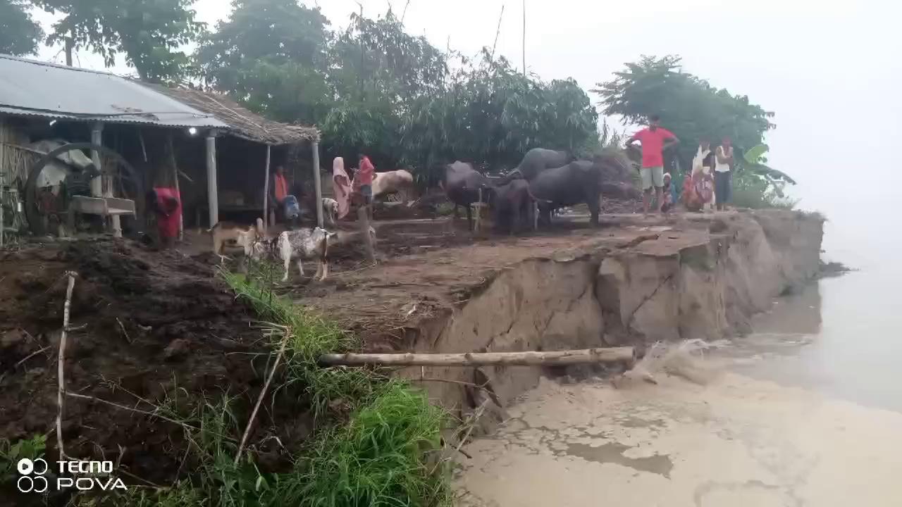 बागमती नदी के कटाव का कहर एक बार फिर से बिकराल् रूप दिखाया: चौथम् परखंड के अंतर्गत रोहीयार पंचायत के बंगलिया गांव में लगातार कटाव हो रहा है जहां की प्रखंड से लेकर जिला स्तरीय तक इसका सूचना दिया गया है लेकिन कोई भी व्यवस्था नहीं किया गया है #khagariya#viralvideo
हाइलाइट Rajesh Verma Bolta Khagaria Neeraj Kumar pali Priya Pikesh Amit Singh Puja Gupta SOrab Kumar Yadav Rampravesh Sharma Rampreet Kumar Pandu Ranga KHAGARIA DISTRICT