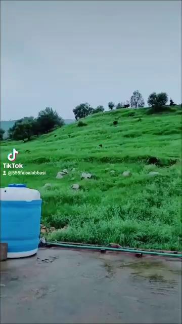 My village Jabri Haripur Kpk Pakistan