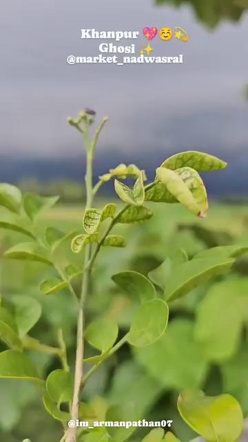 Khanpur ghosi mau
...