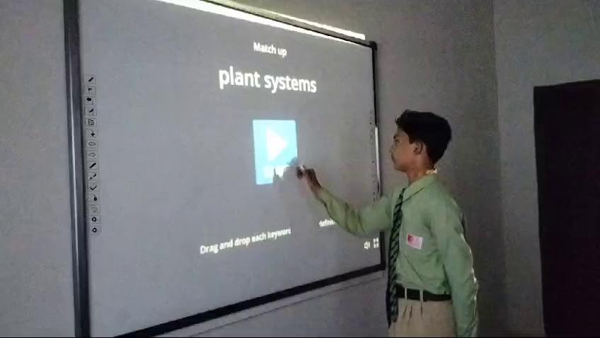 Plant systems activity by Awais Kalwar ...