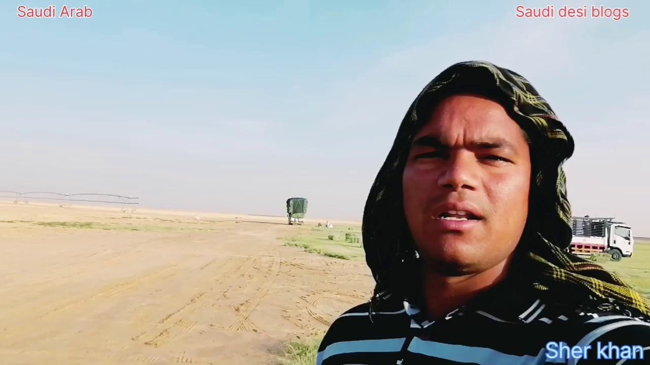 सऊदी अरब माजरा | इतना बड़ा दुभ घास का खेती | कहीं देखने को नहीं मिलेगा
| Saudi desi blogs | majra |
.