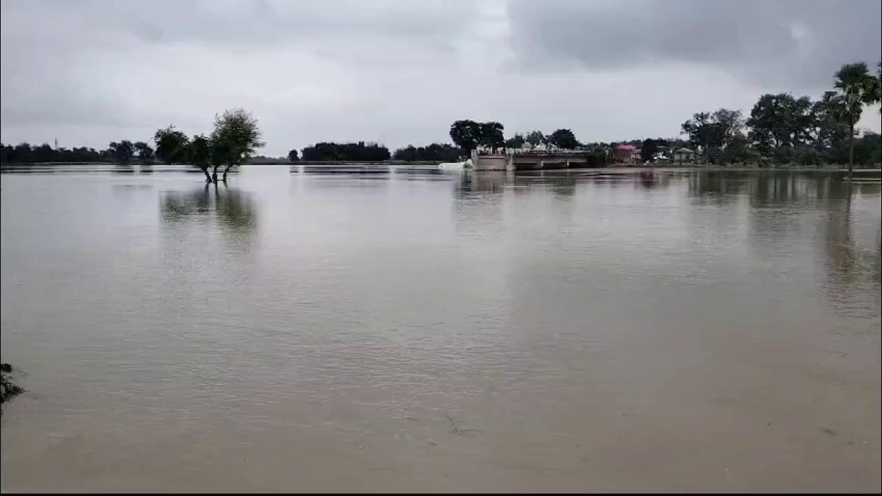 जमालपुर गांव बाढ़ से डूबा हुआ
...