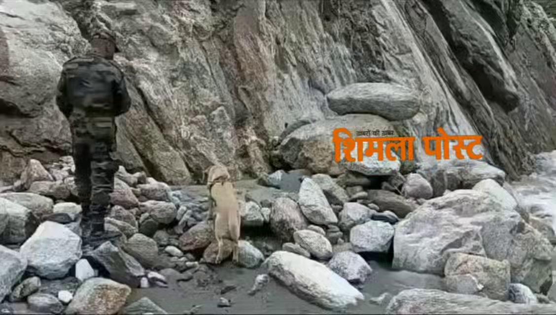 रामपुर:समेज :पत्थरों के बीच खोजी कुत्ते तलाश रहे है जिंदगियां