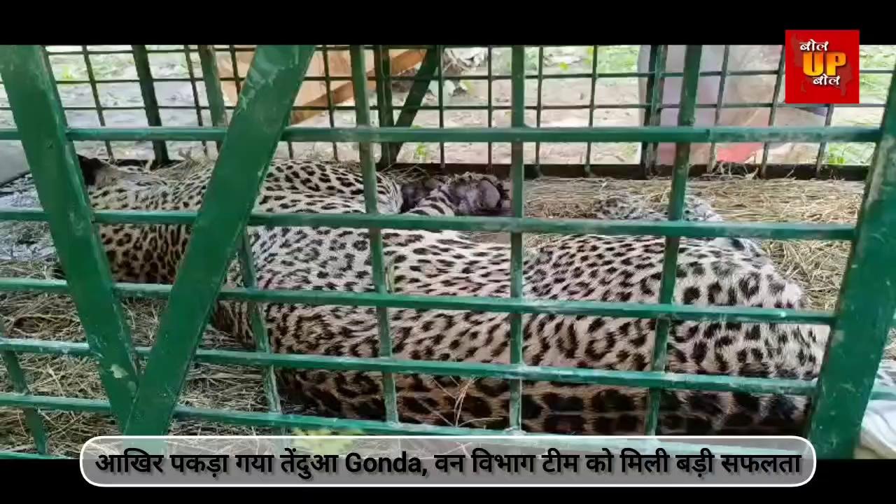 GONDA : फातिमा विद्यालय व गोण्डा शहर हुआ सुरक्षित, पिंजरे में कैद हुआ तेंदुआ