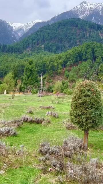 Pahalgam park, Kashmir India