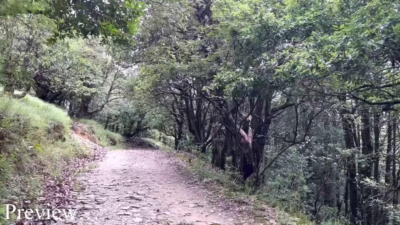 BINSAR almora जाते समय कांड हो गया
!! Binsar wildlife sanctuary !!