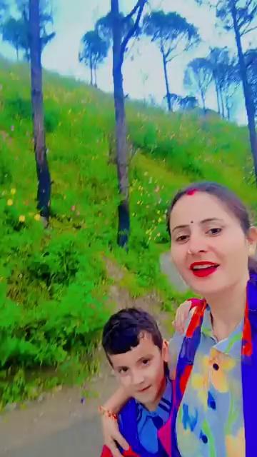 पूरा पहाड़ भरा पड़ा है फूलों से #kasauli visit #hillstation #trendingreelsvideo #postoftheday #vlog #vlogger #vlogging Satwinder Kaur