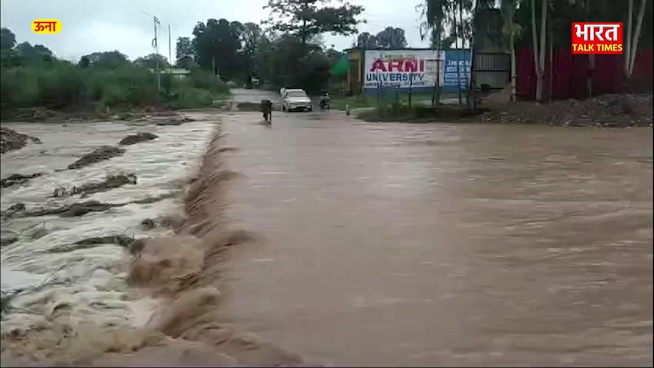 ऊना के देवली खड्ड का रौद्र रूप, गाय का फिसला पैर, सड़क नदी में तब्दील।