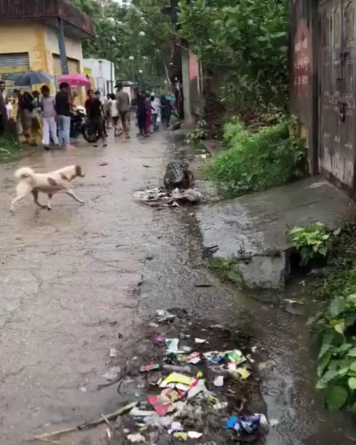 Watch | Viral video shows a crocodile strolling through streets of a village in #UttarPradesh's Bijnor.