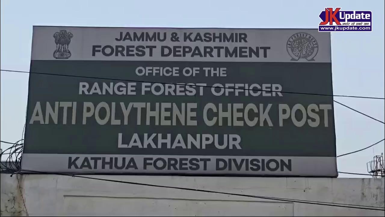 Attempt to smuggle safeda wood failed in Lakhanpur