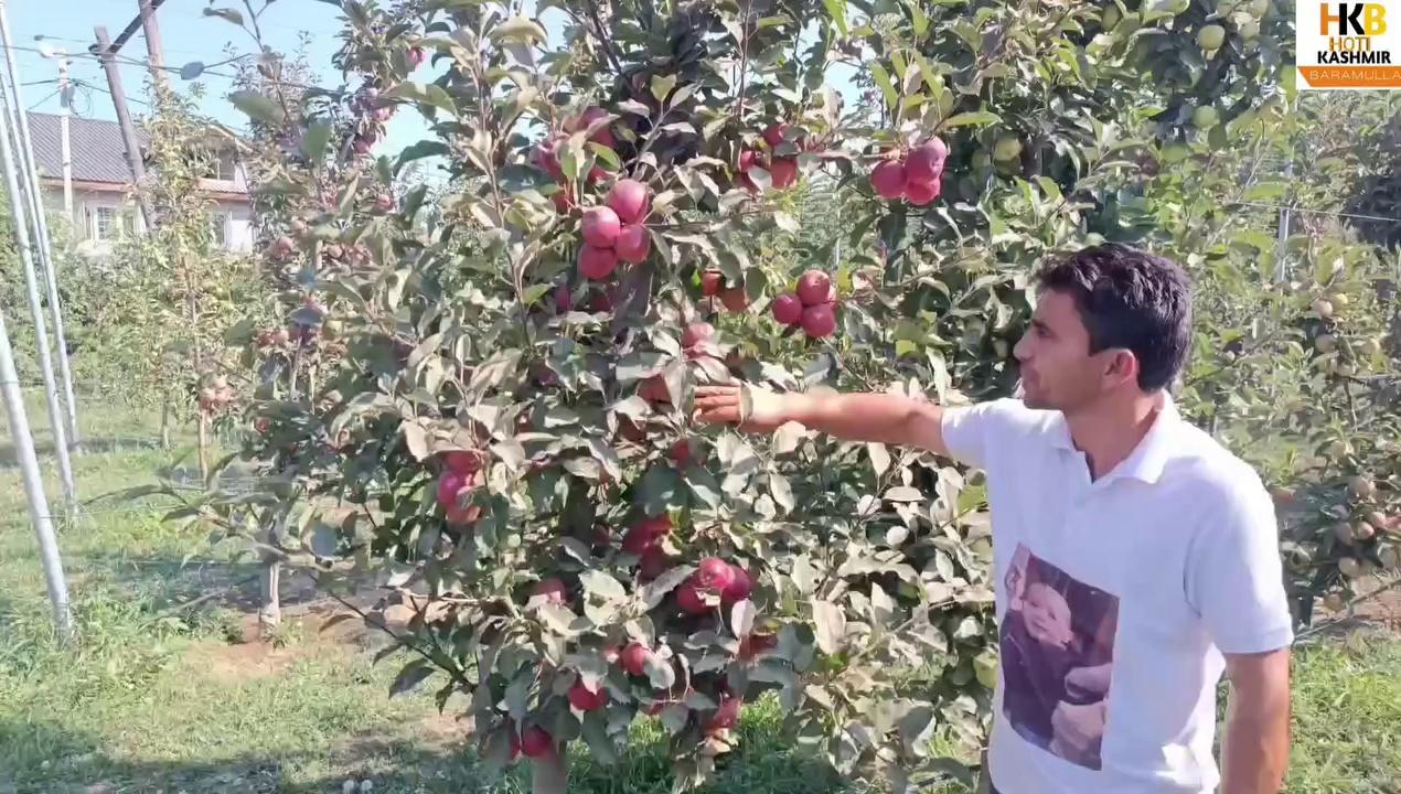 Today I visit Horticulture Department pattan Plantation, Borewell, schemes etc Watch till end https://youtube.com/horti-kashmir-baramullah...