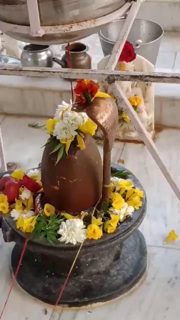 हम्मीर रिसोर्ट सवाई माधोपुर जिले में स्थित शिव शंकर महादेव के परिवार का सुन्दर दर्शन लाभ प्राप्त करें।।
ॐ नमः शिवाय ॐ नमः शिवाय ॐ नमः शिवाय ॐ नमः शिवाय ॐ नमः शिवाय ॐ नमः शिवाय ॐ नमः शिवाय ॐ नमः शिवाय ॐ नमः शिवाय ॐ नमः शिवाय ॐ नमः शिवाय ॐ नमः शिवाय ॐ नमः शिवाय ॐ नमः शिवाय ॐ नमः शिवाय ॐ नमः
शिवाय ॐ नमः शिवाय ॐ नमः
शिवाय