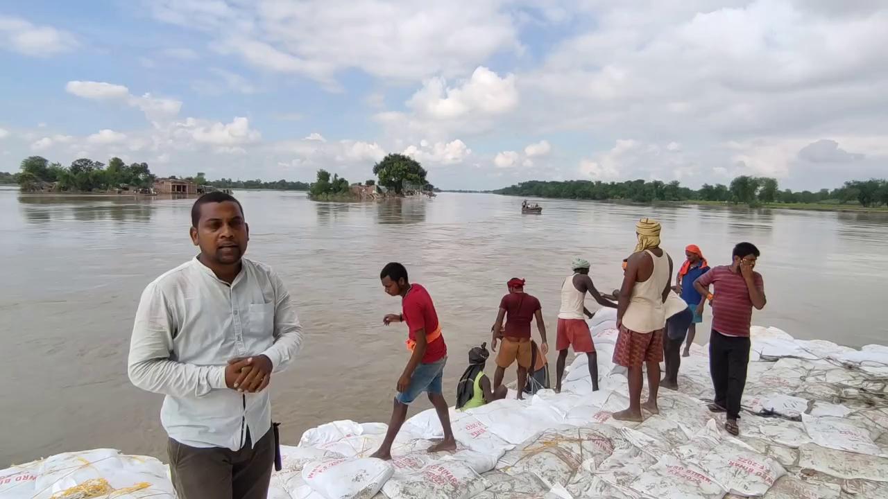 कोसी के कारण टूटे किरतपुर बांध के कटाव रोकने हेतु काम हुआ शुरू....