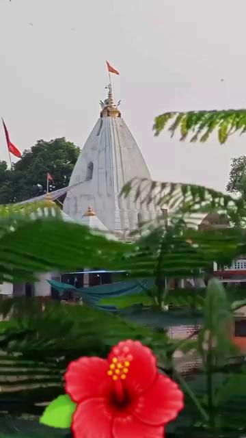 श्री गैवीनाथ धाम Birsinghpur Satna( m.p )