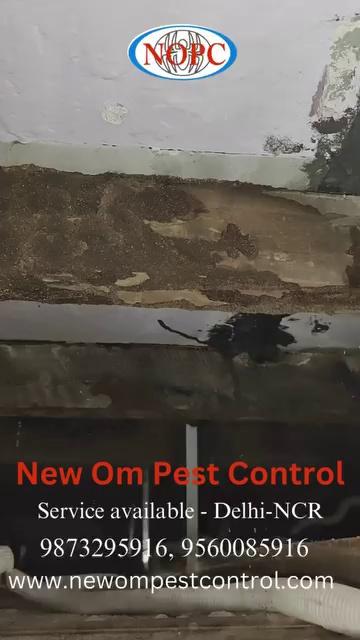 #PestControl #rohinidelhi #termitecontrol
#newompestcontrol #Pitampura #saket
Never install false ceiling below the hard wood used in the roof. This can be dangerous. Termites can damage it from inside and the stones kept on it can fall anytime.
Contact now for termite prevention treatment with WHO certified chemicals.