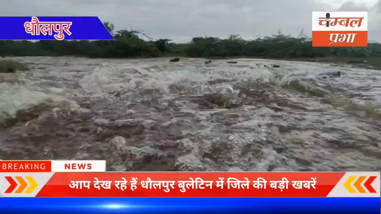 तालाब, पोखर, जलाशय एवं खेत खलिहान पानी से लबालब ! #ChambalPrabha 10/08/24 धौलपुर_बुलेटिन Chambal Prabha News Dholpur News