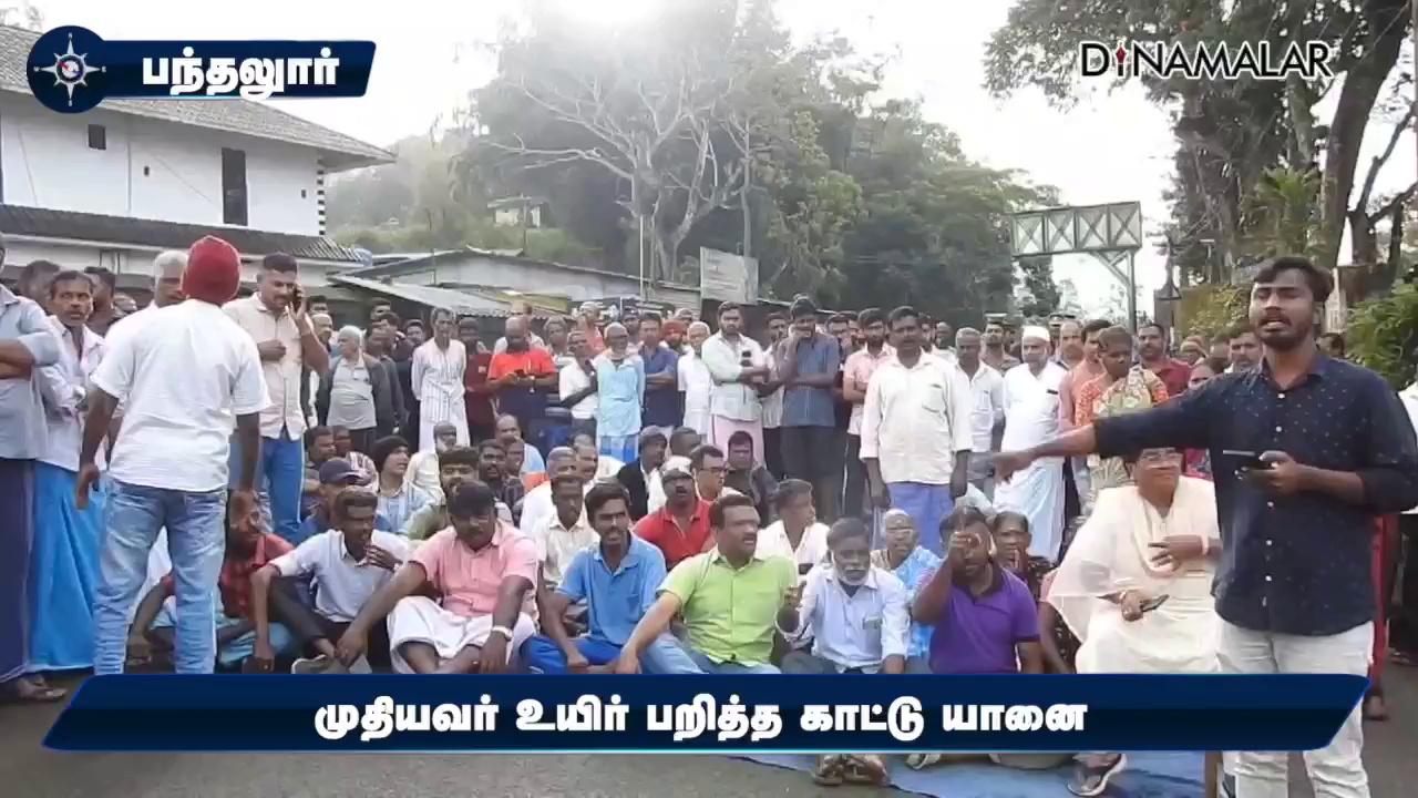 நிரந்தர தீர்வு கேட்டு பொதுமக்கள் சாலை மறியல் | Killed by Elephant | Public protest | Pandalur