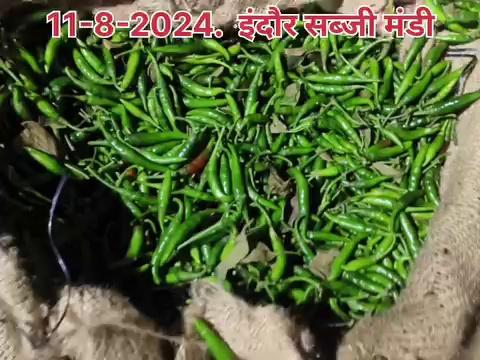 इंदौर सब्जी मंडी 11 अगस्त 2024 रविवार ...