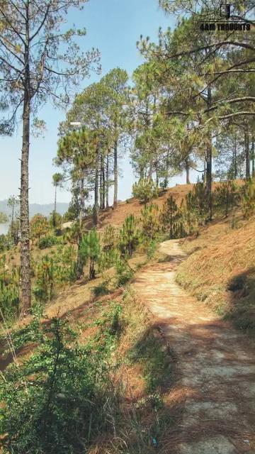 Almora Uttarakhand || अल्मोड़ा में एक दिन - उत्तराखंड की प्राकृतिक सुंदरता !