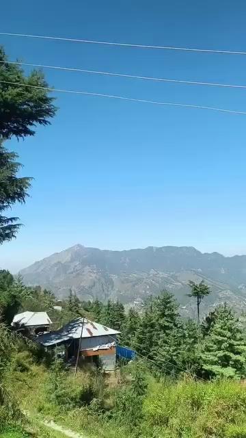 Theog Shimla nature view ...