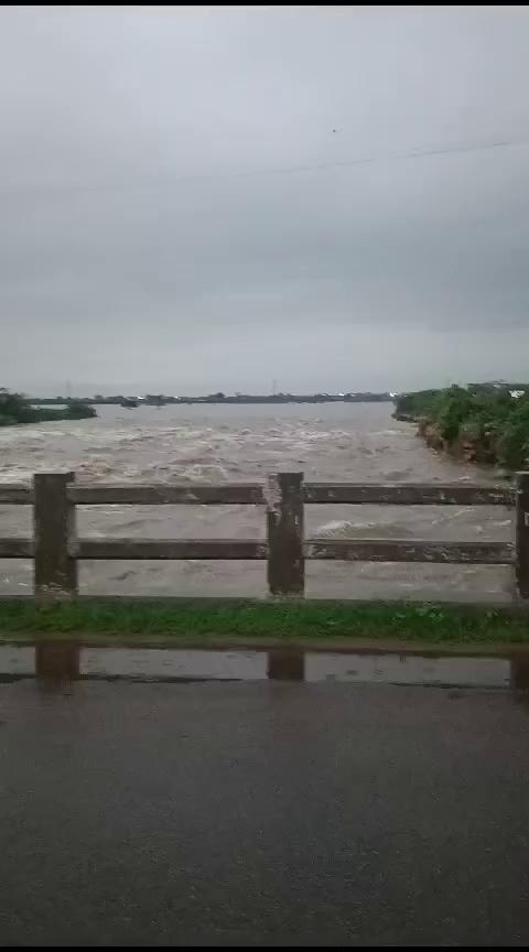 Nayagaon Puliya kota. डायवर्जन चेनल न बना होता तो सारा पानी शहर में तबाही मचा देता आज की बारिश में।