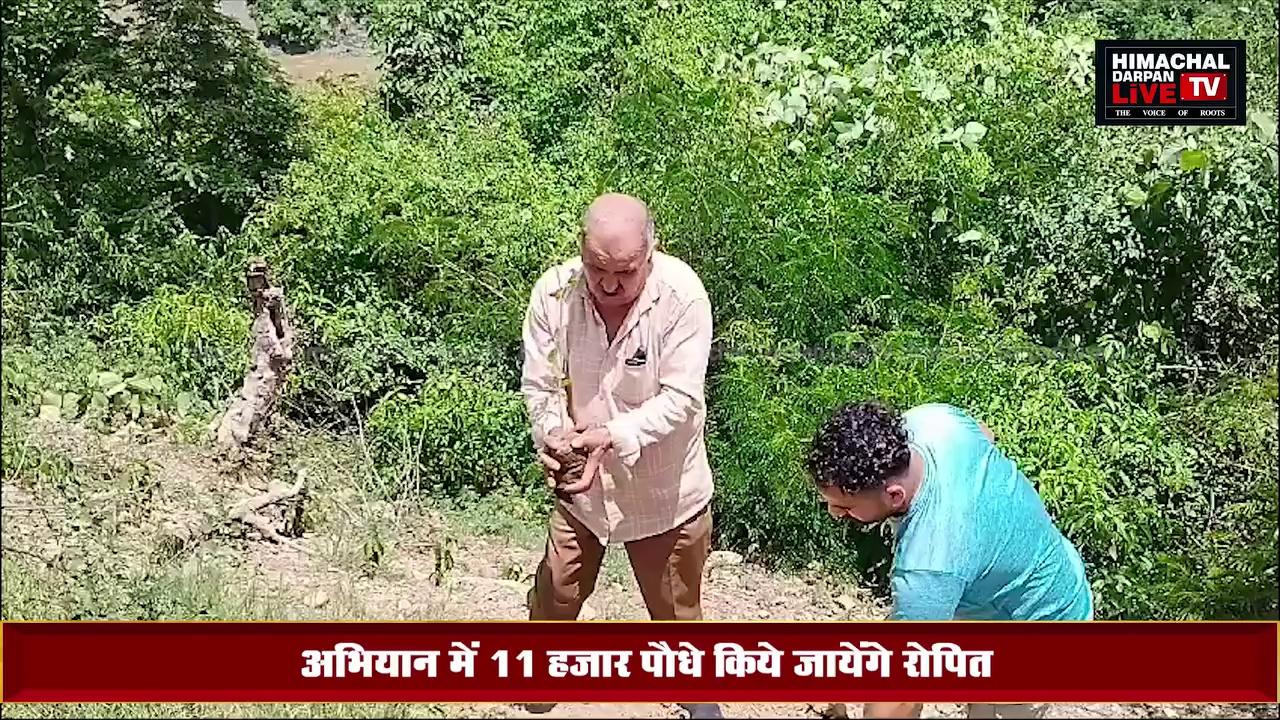 #rajgarh : हरिओम गौशाला कोटला बड़ोग में एक पौधा गौमाता के नाम अभियान आरम्भ