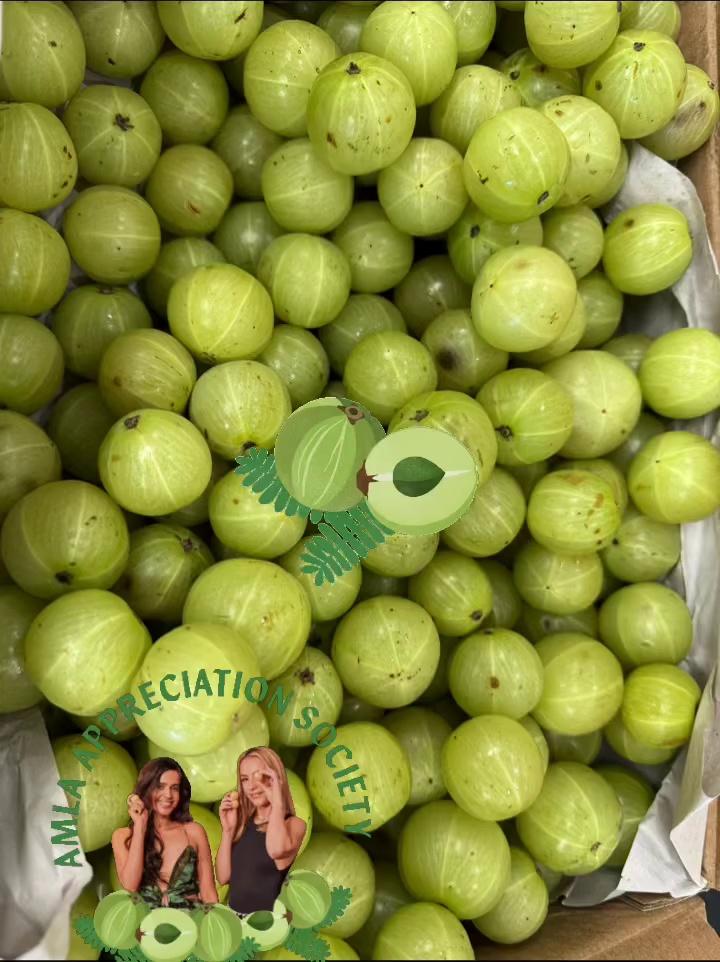 Amla in stock now!!...