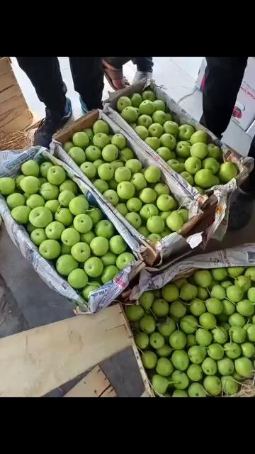 Good News for fruit Groweres
Market rate high especially for Pears (Nashpati) at Fruit Mandi Sopore ...