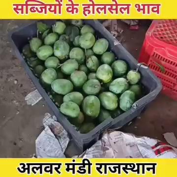 बारिश के मौसम में हरी सब्जियों के होलसेल भाव अलवर मण्डी राजस्थान/ vegetable Rate Today Alwar Mandi Rajasthan