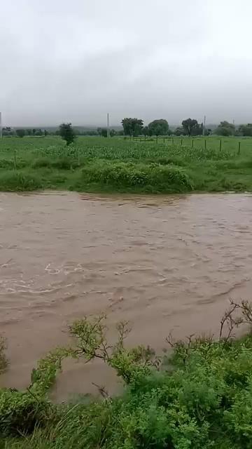 थानागाजी अलवर राजस्थान में भारी बारिश
रूपारेल नदी ( थानागाजी अलवर राजस्थान )
नदी का बहाव तेज होने के कारण पुल टूटा
फ़ॉलोअर्स टॉप फ़ैन Mousam meena Ankita gujjar Sapna meenapura vlog Harish Daulatpura Niranjan Raj Verma