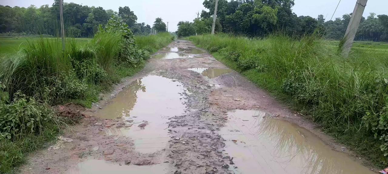 पटनिया हाट से लेकर नारायणपुर अहिलवारा कमरकाला होते हुए भिखनौली घाट तक सड़क की दयनीय स्थिति अभी तक कोई जनप्रतिनिधि इस सड़क पर ध्यान नहीं दिया है यह क्षेत्र दो विधानसभा गोराबौराम और बेनीपुर.क्षेत्रों मे पडती है।