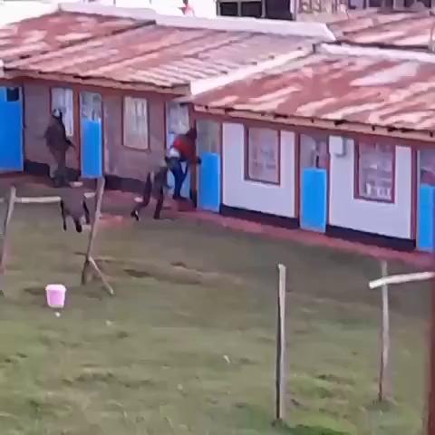 Police storm into private hostels, breaking doors to flush students out because the university has closed. This happened in Talai area in Moi University Kesses yesterday. True definition of a police state.