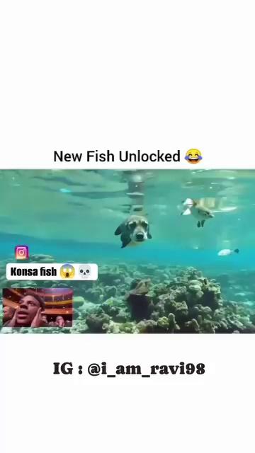 funny video
9gag funny gif meme & video
9gag funny videos
funny videos 99.9 impossible
funny videos 99.9 you will laugh
funny video 90
funny video 99
funny 80s workout video
8 ball pool funny video
80 funny video
funny videos today 83
funny music videos 80s
funny workout videos 80s
funny 80s videos
786 funny video
funny video status
funny video short
funny cat videos 60 minutes
funny videos part 6
funny videos 62
5 minute funny video
5 minute crafts funny video
funny 5sos videos
funny video 50
funny video 5 minute crafts
funny video 5 second
4k funny video
funny 4x4 videos
funny video 420
funny video 4k
3d funny video
3 minute funny video
funny videos 3 minutes
funny video 333
funny video 3d
funny video 30 second
2 minute funny video
2024 funny video
2023 funny video
funny video 2019
funny video 2018
funny video 2020
funny video 2022
funny video 2023
funny video 2021
funny video 2024
10 minute funny video
1 minute funny video
123 go funny video
funny video 14
funny video 123 go
funny video 1 minute
funny video 1 hour
0 funny
ka ne demek
saito09 funny video
funny video 07
zaid ali funny video
zombie funny video
zan zamin funny video
zili funny video
funny videos zaid ali
funny videos zoo
funny video zombie
funny video zone
funny video zan zamin
you funny video
funny video youtube channel
funny video youtube channel name
funny video youtube shorts
funny video youtube
x funny video tik tok
xmas funny video
world most funny video
whatsapp funny video
funny video with animals
viral funny video
video funny video
funny video vlog
funny video voice
funny video viral
funny video vines
funny video videos
umar bhai funny video
urdu funny video
youtube funny video
usa funny video
umar funny video
tui tui funny video
speaker funny video
sophie ke funny video
funny video transitions
stanley cup funny video
short funny video clips
funny video to cheer someone up
sharechat funny video
funny video tv shows
funny video templates
funny video thumbnail
whatsapp group link funny video 2023
vomiting funny video
funny video website
funny video wallpapers
funny video woman climbing in window
funny video wallpaper download
funny video with kids
funny video with dogs
funny video woman going through window
funny video what's your name
funny video woman parking car
woman climbing through window funny video
www.funny video.com
volleyball funny video
whatsapp funny video group link pakistan
without copyright funny video
www.funny video tik tok.com
wisdom teeth removal funny video
what are funny video ideas
xd funny video
xiao xiao funny video
xyz affair funny video
xd funny video app
xi jinping funny video
extra funny video
xavier funny video
viral funny video download
virat kohli funny video
funny video try not to laugh
funny video url
funny video tiktok
suraj funny video
funny video trends
funny video to make you laugh
funny video twitter
tik tok funny video india
tik tok funny video pakistani girl
tik tok funny video pakistani
try not to laugh funny video
tui tui funny video 2023
tinku funny video
tu hi tu hi funny video
uses of the f word funny video
venomous funny video
uwu funny video
unwritten funny video
unique funny video
unemployment funny video
funny video volleyball face
funny video viral hashtag
funny video voice download
funny video viral hashtag youtube
funny video vidmate
vlad and niki funny video
very funny video
volleyball funny video hit in face
super funny video
sofik funny video
sofia funny video
short funny video
funny video sound effects
funny video song
funny video sound
funny video shorts
rana ijaz funny video
funny video real
funny video reaction
funny video ringtone
funny video reels
qurbani ke janwar ki funny video
funny video of animals
funny video of people falling
funny video nepali
funny video new 2024
funny video notun
funny video new
funny video natok
funny video monkey
funny video music
funny video memes
funny video love
funny video learning english
funny video laughing
funny video kaise banaye
funny video jao
funny video junya
funny video japan
funny video jokes
qurbani ki funny video
funny video in spanish
funny video ideas
funny video hindi comedy
funny video happy birthday
quokka funny video
qurbani funny video 2023
funny video people falling
funny video of dogs
ostrich funny video
omer funny video
open the door funny video
funny video of chinese lady doing nails
funny video of little kids playing baseball
funny video of cats
funny video of guy slapping everyone
oldest middle youngest funny video
funny video of dog getting nails clipped
funny video of the day
new funny video 2023
nambardar funny video
numberdar funny video 2021
nail salon funny video
optimus prime funny video
omor funny video 2023
que hora es funny video
pickleball funny video
funny video quality management
funny video quitting job
funny video questions
funny video quotes for instagram
funny video qr code
pakistani tik tok funny video
funny video pinterest
ordering coffee funny video
funny video pickleball
funny video prompts
funny video profile picture
funny video pranks
funny video pictures
funny video project ideas
funny video on youtube
quinnen williams funny video
quinta brunson funny video
funny video saying no
qurbani funny video
punjabi funny video
pragati verma funny video
pubg funny video
funny video subreddits
panda funny video
pashto funny video
pakistani funny video
papa ki pari funny video
odia funny video
omegle funny video
omor funny video
notun funny video
funny video shows on tv
new funny video
minecraft funny video
modi funny video
most funny video
must watch funny video
monkey funny video
numberdar funny video
korean funny video
funny video youtube kids
khan sir funny video
karbi funny video
kaissa funny video
khizar omer funny video 2023
khizar omer funny video
funny video show on mtv
funny video pets
reels funny video
funny video quiz
funny video qurbani
funny video quotes
quick funny video
quotes for funny video
funny video reddit
funny video resistance to change
funny video reels download
funny video ringtone download
funny video recording
funny video reply
ramzi funny video
rachit rojha funny video
ramzi funny video 2023
jethalal funny video
red panda funny video
ramzi funny video 2024
rachnavi tv funny video
rana ijaz new funny video
rolling stones funny video
issei funny video
ikea funny video
instagram funny video
indian funny video
in the beginning funny video
horse funny video
horror funny video
hindi funny video
x2 funny video
american funny video
funny video youtube channel logo
50 cent funny video
6 pack of heineken funny video
666 funny video
6ix9ine funny video
63 funny video
funny video message for 60th birthday
funny video for 6 year old
50 years old funny video
500 miles funny video
5 seconds funny video download
5 second funny video
5 day weather forecast funny video
5 whys funny video
5s funny video
funny video for 5 year olds
funny 60th birthday video
comedy video 5
funny 5 minute video
funny video 50th birthday
40th birthday funny video
401k funny video
44 magnum funny video
40 funny video
49ers funny video
4th of july funny video
4 inches of snow funny video
4 way stop funny video
funny video for whatsapp status
comedy video 4
6 second funny video
funny 60th birthday video ideas
funny video 450
80s funny video clips
funny dui video reno 911
9x funny video download
9gag funny video download
9apps funny video download
9gag funny video
911 dispatcher funny video
90s funny video host codycross
funny 90s video games
funny video 9 number
funny video 9gag
80's workout video funny
funny 80s aerobics video
80s dance video funny
8 wastes funny video
when i'm 64 funny video
888 funny video
811 funny video
fun 80s videos
funny video for 8 year olds
funny video 80
khiladi 786 funny video
vitas 7th element funny video
funny video of woman drinking wine at 7am
funny 70th birthday video ideas
funny 70th birthday video
711 funny video
7 languages funny video
7 continents funny video
funny 40th video messages
funny video 4k download
funny video youtube description
funny videos zulu
funny video 160
funny video 1 minute download
was ist v
funny video meaning
video funny zero
funny video 05
funny video 00000
zelensky funny video
zoom meeting in person funny video
zero turn funny video
zumba funny video
zyn funny video
zoom meeting funny video
funny video zoom
funny video 15 second
funny video zip file download
funny video zoom backgrounds
youtube funny video tags
youtube funny video description
youtube funny video hashtag
yeti funny video
youtube tik tok funny video
youtube funny video clips
youtube funny video clips short
youtube shorts funny video
funny video youtube tags
funny video youtube banner
funny video youtube hashtags
funny video 15 second download
funny video 10 second
3 seconds funny video
funny video 3gp
3 second funny video download
3 idiots funny video
360 camera funny video
30 second funny video
number dar funny video 2023
30a funny video
3gp funny video download
3gp funny video download waptrick videos
funny video 36
funny video 32
funny video 30
funny video 3gp free download
funny video 30 second download
25 divided by 5 funny video
18 tiktok funny video
20 funny video
2023 funny video download
20 second funny video
22 funny video
2+2 is 22 funny video
21 funny video
funny video 2024 download
14 august funny video
15 minute funny video
10 rupees ke kurkure funny video
10 second funny video
1 minute funny video free download
12 days of christmas funny video
no copyright funny video
funny video hashtags
funny video numberdar
gen x funny video
gorilla funny video
goat funny video
google funny video
ghost funny video
granny funny video
funny video games
football funny video
free fire funny video
funny video funny video
funny video fails
escalator funny video
eid mubarak funny video
ethiopian funny video
english funny video
elvish yadav funny video
doraemon funny video
dog funny video
funny video dog and cat
funny video dog
funny video download
cow funny video
cartoon funny video
comedy funny video
cricket funny video
chinese funny video
funny video challenge
funny video clean
funny video compilation
birthday funny video
bts funny video bangla
bts funny video
funny video bangla
funny video birthday
funny video animals
apple vs android funny video
nastya funny video
funny video call backgrounds
johnny sins tiktok funny video
bangla funny video
happy birthday funny video
funny video clips short
bts hindi dubbing funny video
funny video clips short download
funny video cats
bangladeshi funny video
funny video bad communication
baklol funny video
funny video birthday cards
funny video clips
funny video captions
arjun tendulkar funny video
funny video backgrounds
cat funny video
funny video birthday messages
funny video backgrounds for zoom
barbie funny video
funny video birthday greetings
funny video babies
funny video background music
tik tok funny video download
funny videos for adults
bts funny video in hindi
funny videos of animals
funny videos clean
funny video clips for kids
funny video dad changing diaper
dog and woman funny video
deaf threats funny video
download funny video
dog and girl funny video 2014
funny video dad slapping everyone
funny video dog biting owner
funny video disclaimer
animal and girl funny video
copyright free funny video clip
funny video dancing
funny videos of cats
funny video discord server
funny videos try not to laugh
funny video description copy
capybara funny video
chinese funny video app
challenge for some funny video compilations
adhd funny video
tik tok funny video
am i pregnant funny video
funny videos for kids
0-5 funny videos
domestic violence funny video
peppa pig funny video
kids funny video
john daly funny video
funny videos zelda
funny videos on youtube
funny videos
funny 4k videos
funny video qurbani ki
funny video qurbani dawat
funny video peppa pig
funny video kids
funny video for toddlers
funny video for kids
baby funny video
4 hour funny video
funny 5s videos
animal funny video download
funny video about communication
animal and woman funny video
funny video about leadership
funny video about teamwork
funny video about travel baseball
funny video about customer service
funny video apps for android
funny video about change
funny video about english language
funny video 0980
funny video apps
funny videos for 8th graders
funny videos for 6th graders
funny videos 5 minutes
funny video 96
funny video 731
funny video 2024 tiktok
dog funny video download
duck funny video
funny video name style
jethalal funny video download
king charles funny video
karen funny video
funny video ki photo
funny video ka logo
funny video ka photo
funny video keywords
funny video keywords for youtube
funny video kids playing baseball
funny video kid stuttering
funny video kid friendly
jay shah funny video
jim cantore funny video
junya1gou funny video
funny video links
junya funny video
jamie lee funny video
junya1gou funny video
funny video just for laughs
funny video job interview
funny video johnny singh
funny video jokes for adults
funny video jump scare
funny video jokes for kids
indian child funny video download
instagram funny video download
indian funny video clip download
indian funny video no copyright
kayeye funny video
funny video listen linda
funny video ideas with friends
funny video maker with face
funny video names
funny video nail salon
funny video not on youtube
merry christmas funny video
make funny video with faces free
movie funny video download
moj funny video status download
memes funny video
funny video middle finger
funny video meeting background
funny video maker app
funny video memes 2024
funny video man petting chihuahua
funny video maker
funny video logo
lebron james funny video
little league funny video
la chancla funny video
learning english funny video
literally funny video
linda funny video
lankybox funny video
live laugh love funny video
listen to hitslab funny video
funny video logo download
funny video linda listen to me
funny video lady crawling in window
funny video lady climbing in window
instagram reels funny video
funny video ideas to do with friends
dance funny video
empty funny video
funny video dikhao funny video
funny video bangla funny video
facebook funny video hashtags
funny video funny video tik tok
free funny video
free fire funny video download
facebook funny video
funny video for teachers
funny video for kindergarten
funny video filters for iphone
funny video for kids to watch
funny video filter app
funny video for adults
emu funny video
funny video game quotes
ezekiel funny video
english pronunciation funny video
english language funny video
funny video english pronunciation
funny video employee engagement
funny video effects
funny video edits
funny video english language
funny video editor app
funny video ecards
funny video essays
funny video editing apps
funny video editor
funny video game names
funny video game memes
funny video instagram
funny video hooks
funny video intros
funny video ideas for kids
funny video ideas for school
funny video ideas to make with friends
funny video ideas for tiktok
hasbulla funny video
hitslab funny video videos
hot funny video
happy birthday funny video download
how to make a funny video
honey badger funny video
funny video how to fold a fitted sheet
funny video hashtags for youtube
funny video happy birthday wishes
funny video game character names
funny video how high are you
funny video host
funny video hashtags for tiktok
animal funny video
german shepherd funny video talking
german coast guard funny video
green screen funny video download
gamoo funny video
funny video game pictures
funny video gifs
funny video game jokes
funny video games to play with friends
funny video game characters
90s makeup video funny