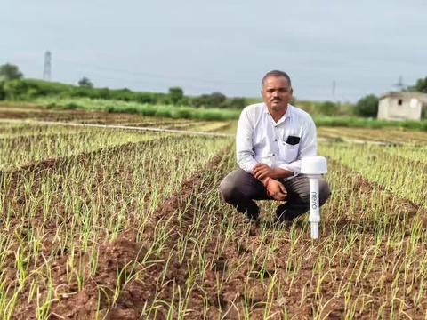 श्री मारुती पानगव्हाणे उगाव, निफाड....
मी कांदा पिकात पाण्याची व्यवस्थापन फाईलचे निरो वापरून करणार आहे....
आपण देखील आपल्या कांदा पिकात पाणी व्यवस्थापनासाठी फायलोची निरो वापरू शकता..