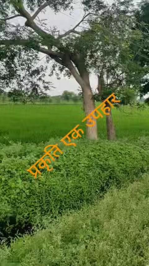 मध्य प्रदेश, कटनी , सागर सफर के दौरान