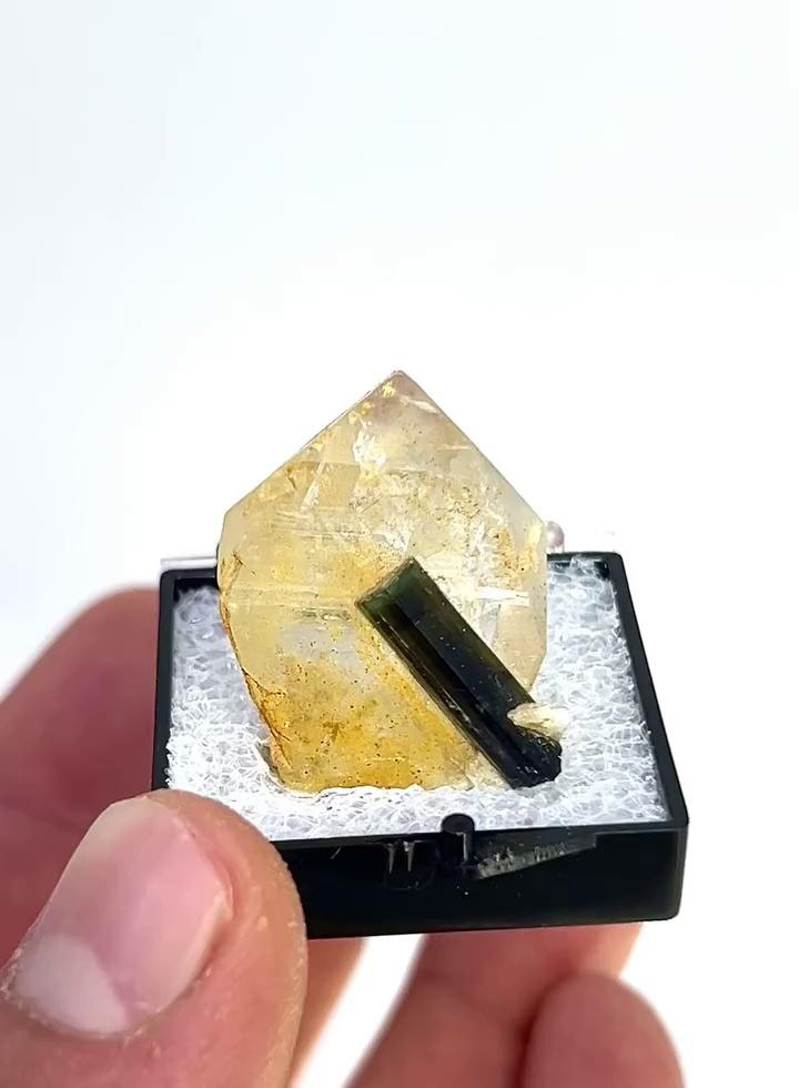 Green Cap Tourmaline on Quartz
Stak Nala, Skardu District, Pakistan
1.25” perky box
$28 dollars (was $38)