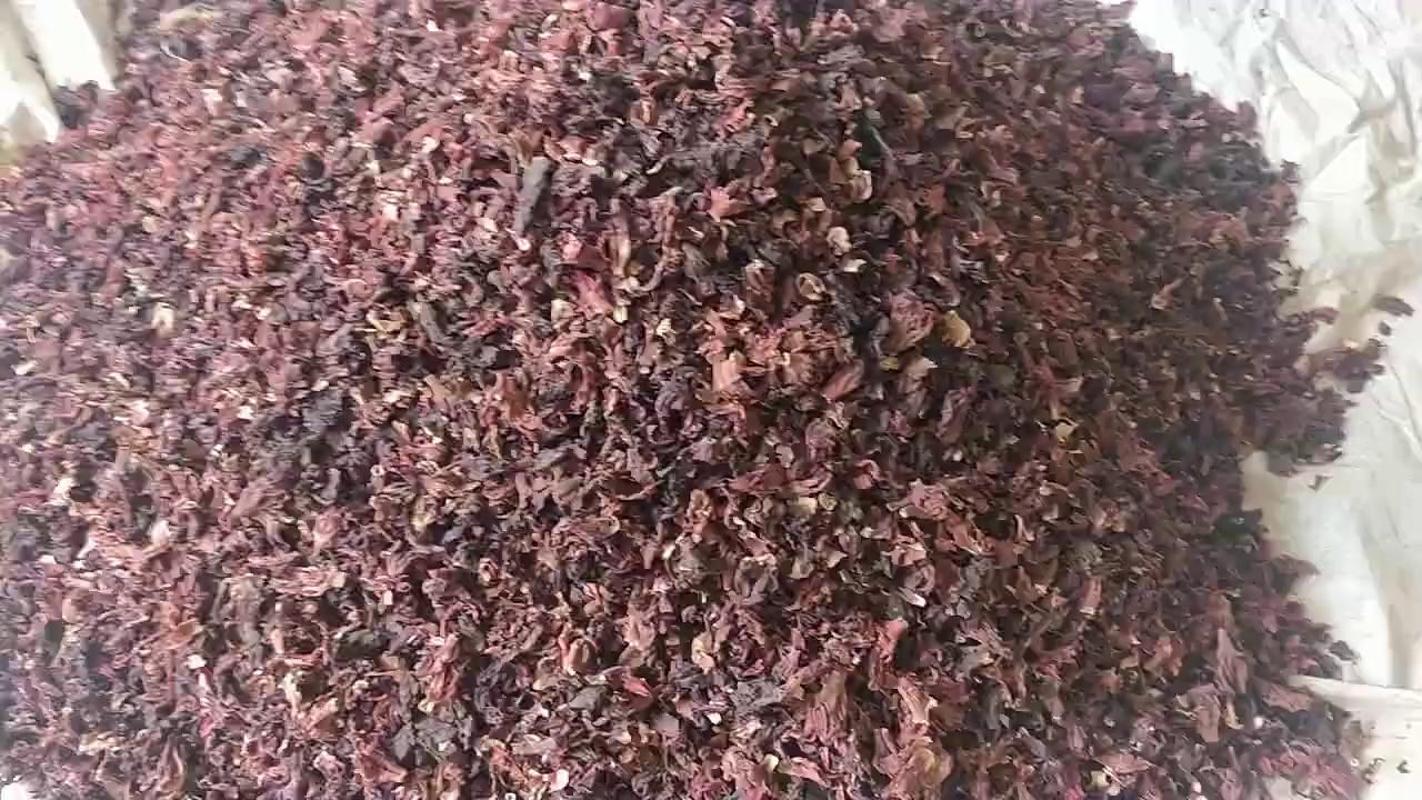 Hibiscus Sabdariffa Flowers | Imported Origin
Sinhal Herbs, Neemuch
Traders & Stockiest of Herbs & Spices
23, Industrial Area
Neemuch - 458441
Madhya Pradesh